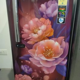 Voltas Beko RDC208E/SOPWE, 175 Litre 1 Star Single Door Refrigerator with Fresh Box and Stabilizer Free Operation, Peony Wine