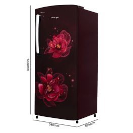 Voltas Beko 185 Litre 3 Star Single Door Refrigerator with Quick Freezer, Safe Box and Crisper Humidity Control, Fressia Purple, RDC220C/S0PFE