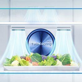 Samsung 301L 2 Star Double Door Refrigerator (RT34C4522S8, Elegant Inox)