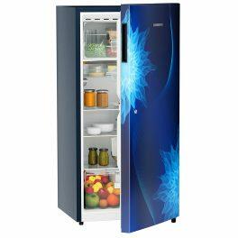 Liebherr DNPIME 1911, 191L 5 Star Inverter, Direct Cool Single Door Refrigerator, 20 Years Warranty on Compressor, Freezer 22 L, Blue Mystic