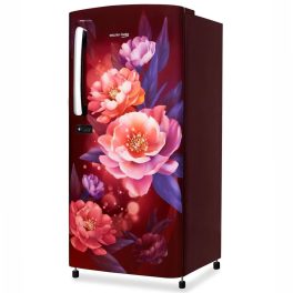 Voltas Beko 175 Litre 1 Star Single Door Refrigerator with Fresh Box and Stabilizer Free Operation, Peony Wine, RDC208E/SOPWE