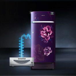 Samsung 215L 5Star Single Door Refrigerator (RR23D2H259R, Paradise Purple)