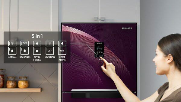 Samsung 301L 2 Star Double Door Refrigerator (RT34C4522S8, Elegant Inox)