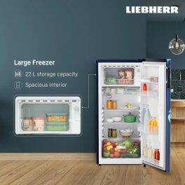 Liebherr DNPIME 1911, 191L 5 Star Inverter, Direct Cool Single Door Refrigerator, 20 Years Warranty on Compressor, Freezer 22 L, Blue Mystic