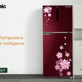 Panasonic 280L 2 Star Double Door Refrigerator (NR-TH292BDRN, Harnel Wine)