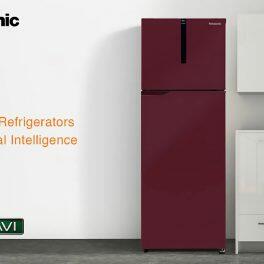 Panasonic 280L 2 Star Double Door Refrigerator (NR-TH292BPRN, Deep-Wine)