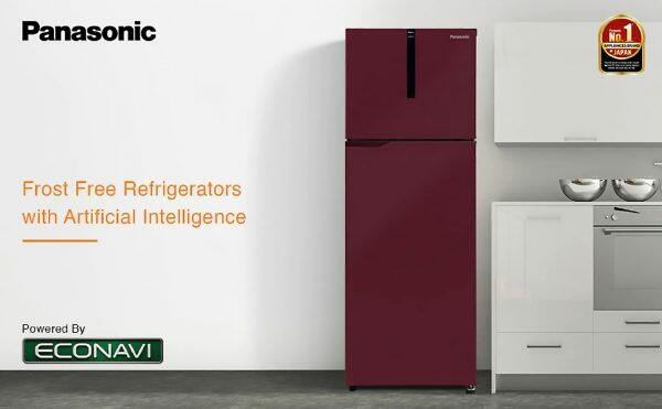 Panasonic 280L 2 Star Double Door Refrigerator (NR-TH292BPRN, Deep-Wine)