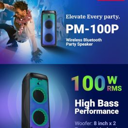 Akai PM-100P, 100 Watts Bluetooth Party Speaker with 5 Hours of Playtime, Karoke with Wireless Mic and Recording, Black