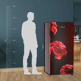 Liebherr DNBRDB 1901, 191L 2 Star Inverter, Direct Cool Single Door Refrigerator, 20 Years Warranty on Compressor, Vegetable Organiser, Red Divine