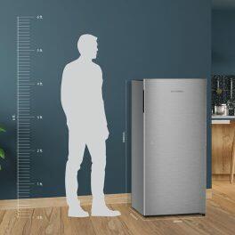Liebherr DNPSIE 1901, 191L 5 Star Inverter, Direct Cool Single Door Refrigerator, 20 Years Warranty on Compressor, Freezer 22 L, Silver