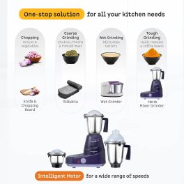 V-Guard 750 Watt Mixer Grinder (Thundermix L 750, Purple)