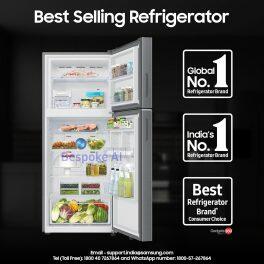 Samsung 396L 2 Star Double Door Refrigerator (RT41DG6A2BS8, Elegant Inox)