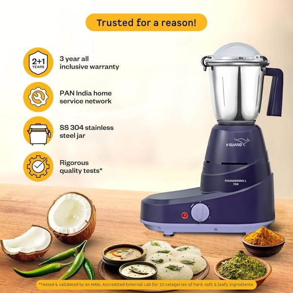 V-Guard 750 Watt Mixer Grinder (Thundermix L 750, Purple)