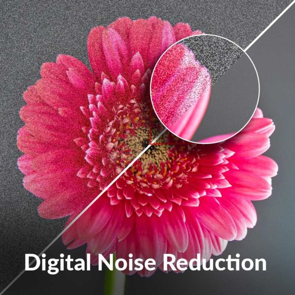 Akai 43GS-SFWS, Google Certified Smart Andriod TV with Dolby Audio, Black