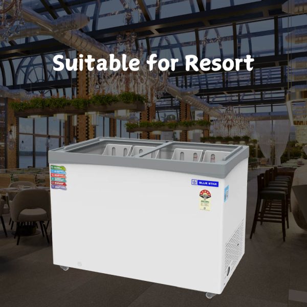 BlueStar GT5-350NP 315L Glass Top Deep Freezer with 5 Star Rating, White