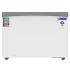 BlueStar GT5-350NP 315L Glass Top Deep Freezer with 5 Star Rating, White