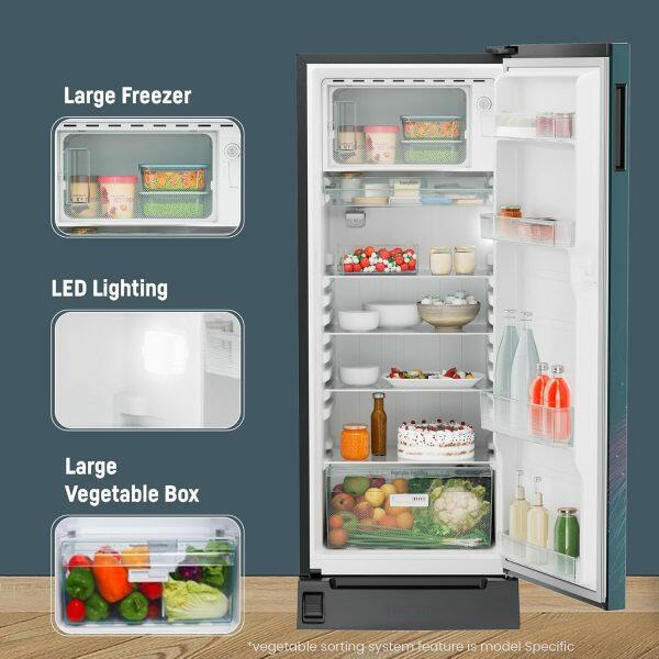 Liebherr 222L 5 Star Inverter,Direct Cool, Handsfree Open with Foot Pedal,Pocket Handle,Single Door Refrigerator,20 Yrs Warranty on Compressor, Freezer 22L (DFPTSE 2231)