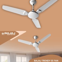 Bajaj Trendy EE 1200, 48 Inch 3 Star Ceiling Fan with 400 RPM, High Torque Motor and Blade Design Inspired by Petal, Snowy White