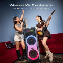 boAt PartyPal 600, 220 Watts Party Speaker with 7 Hours of Battery Backup, Black