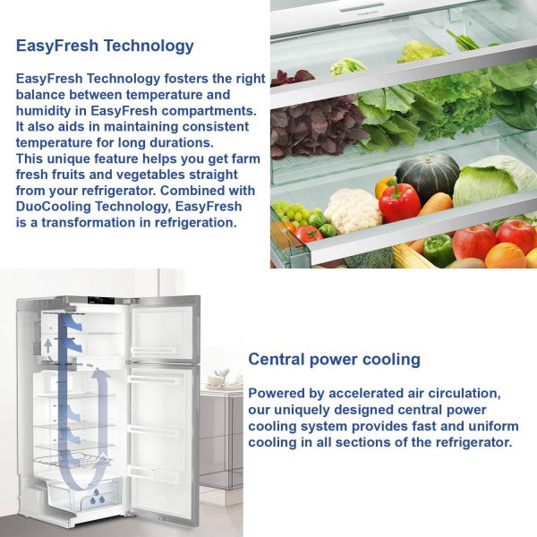 Liebherr TELCSB 3151, 316 Litre 2 Star Inverter Double Door Refrigerator with Hot to Cool, Lever Handle and 20 Years Compressor Warranty, Cobalt steel
