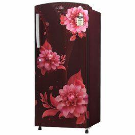 Lloyd GLDC212Sbwt2Pb, 200 Litre 2 Star Single Door Refrigerator with Fast Ice Making Technology, Begonia Wine