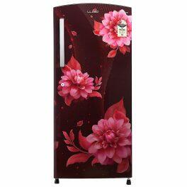 Lloyd GLDC212Sbwt2Pb, 200 Litre 2 Star Single Door Refrigerator with Fast Ice Making Technology, Begonia Wine