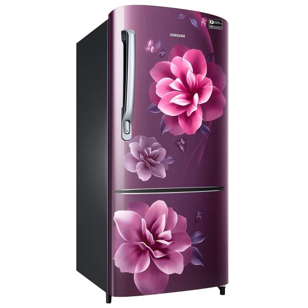 Samsung RR20C2723CR, 183 Litre 3 Star Single Door Refrigerator with Digital Inverter and Stabilizer Free Operation, Camellia Purple