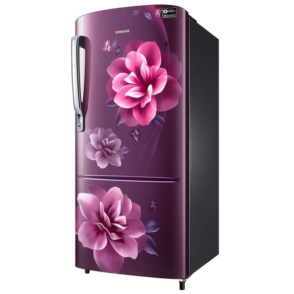 Samsung RR20C2723CR, 183 Litre 3 Star Single Door Refrigerator with Digital Inverter and Stabilizer Free Operation, Camellia Purple