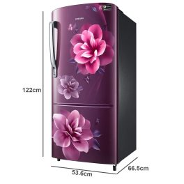 Samsung RR20C2723CR, 183 Litre 3 Star Single Door Refrigerator with Digital Inverter and Stabilizer Free Operation, Camellia Purple
