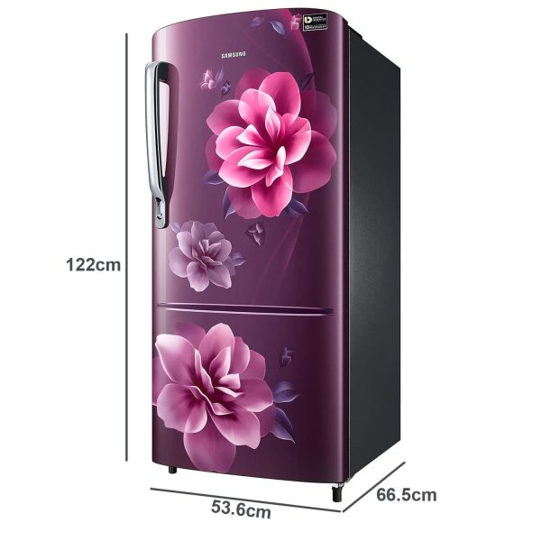 Samsung RR20C2723CR, 183 Litre 3 Star Single Door Refrigerator with Digital Inverter and Stabilizer Free Operation, Camellia Purple