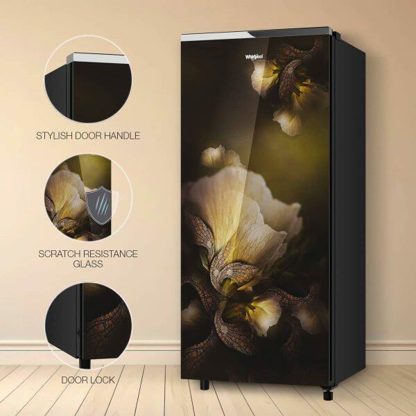 Whirlpool Icemagic Pro 215GD PRM, 192 Litre 5 Star Glass Finish Single Door Refrigerator with Up-To 7 Days of Garden Freshness, Gold Dust