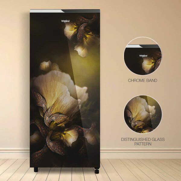 Whirlpool Icemagic Pro 215GD PRM, 192 Litre 5 Star Glass Finish Single Door Refrigerator with Up-To 7 Days of Garden Freshness, Gold Dust