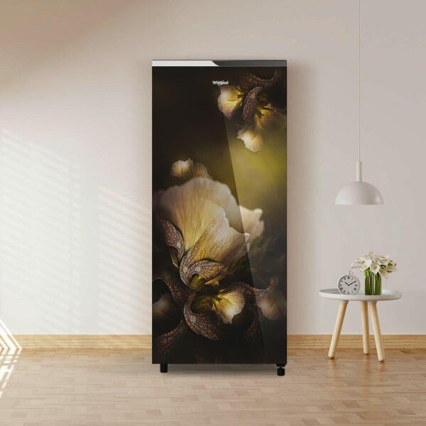 Whirlpool Icemagic Pro 215GD PRM, 192 Litre 5 Star Glass Finish Single Door Refrigerator with Up-To 7 Days of Garden Freshness, Gold Dust