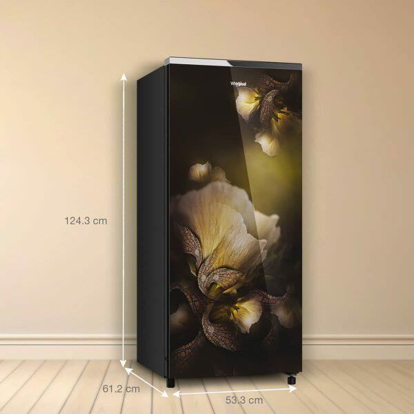 Whirlpool Icemagic Pro 215GD PRM, 192 Litre 5 Star Glass Finish Single Door Refrigerator with Up-To 7 Days of Garden Freshness, Gold Dust