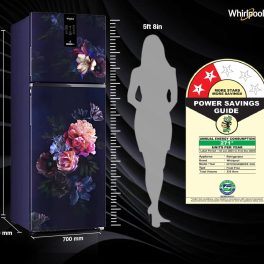 Whirlpool IF PRO INV CNV 278, 2 Star Intellisense Inverter technology, 10 in 1 Convertible Frost Free Double-Door Refrigerator, Belle Epoque