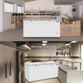 Bluestar CF5-575NEYW, 515 Litre Double Door Convertible Deep Freezer with 5-Star Rating and Frosted Inner Lid, White