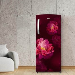Whirlpool 230 IMPRO PRM, 207 Litre 3 Star Single Door Refrigerator with Icemagic Pro, Inverter Compressor and Insulated Capillary, Wine Peony