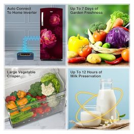 Whirlpool 230 IMPRO PRM, 207 Litre 3 Star Single Door Refrigerator with Icemagic Pro, Inverter Compressor and Insulated Capillary, Wine Peony