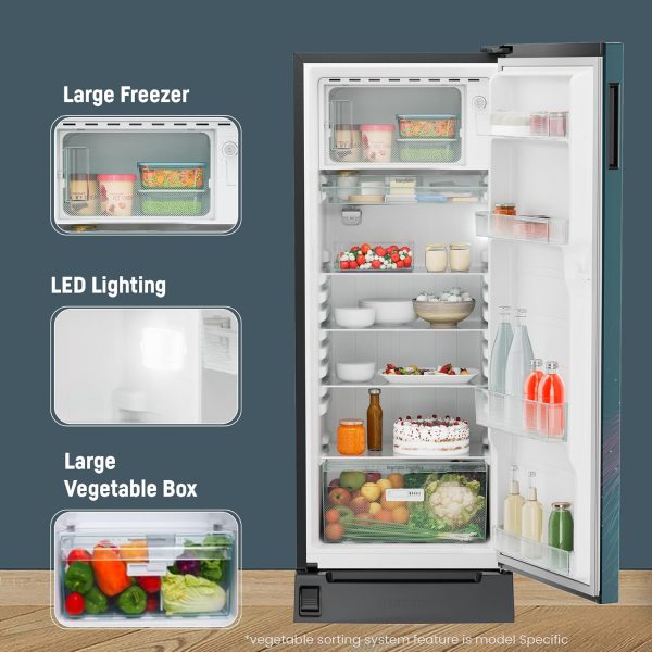 Liebherr DFPTSE 1931i01 20, 191L, 5 Star Inverter, Direct Cool,Handsfree Open with Foot Pedal,Pocket Handle,Single Door Refrigerator,20 Yrs Warranty on Compressor, Freezer 22L, Vegetable Organiser,Teal string(2024 Model)