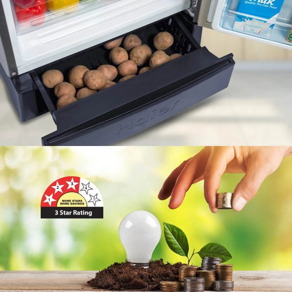 Haier 205 L, 3 Star, Marine rose Finish Direct Cool Single Door Refrigerator with Base Drawer REF HRD-2263PMR-N