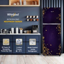 Whirlpool NEO278GD PRM, 235 L 2 Star Frost-Free Double Door Refrigerator, 10 Years Warranty on Compressor, Kaigari