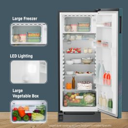 Liebherr DFPtsE 2031, 202L 5 Star Inverter, Direct Cool,Handsfree Open with Foot Pedal,Pocket Handle,Single Door Refrigerator,20 Yrs Warranty on Compressor, Freezer 22L, Vegetable Organiser,Teal string