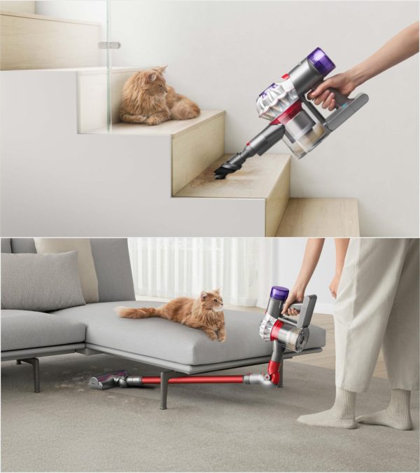 Dyson V8 ABSOLUTE+Vacuum Cleaner,Grey