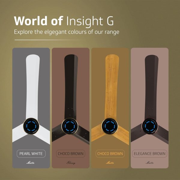 V-GUARD CF INSIGHT-X CHO GLD WOOD 1.2M