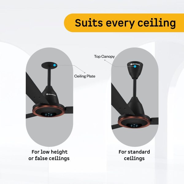 Atomberg 1230MM Designer Ceiling Fan with 5 Star Rating, Remote, LED Speed Indicator and 2 Year Manufacturer Warranty, Erica Meta, Blaze Brown