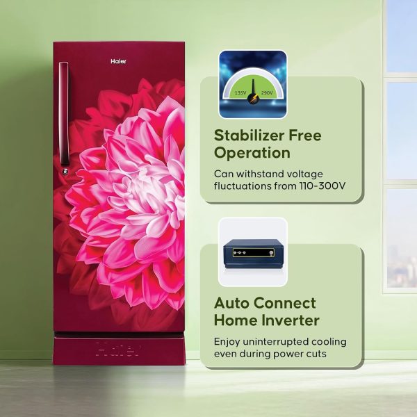 Haier 190 L, 3 Star, Direct Cool Single Door Refrigerator with Base Drawer, One Hour Icing Technology, Stabilizer Free Operation, Red Dahelia, HRD-2103PRD-P
