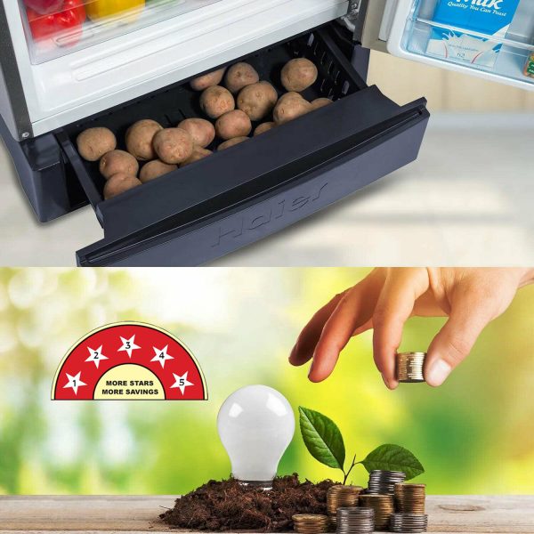 Haier 190 Litre 5 Star Single Door With Base Drawer Refrigerator, One Hour Icing Technology and Stabilizer Free Operation, Mirine Ivy, HRD-2105EPMI-P