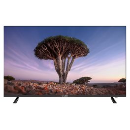 Wybor-Google Series, 109cm (43 Inch) Full HD Smart Android with Google TV, Google Assistant, Chromecast built-in, Black, 43WFS-C9-G1