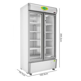 Western 807 Liter Visi Cooler Glass Standard Double Door Commercial Refrigerator, Automatic Defrost System, White-Grey, SRC950-GL