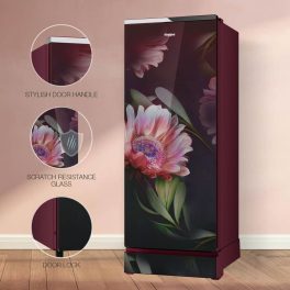 Whirlpool 192 Litre 3 Star Glass Finish Single Door Refrigerator with Up-To 7 Days of Garden Freshness, Night Bloom, 215 Icemagic Pro GD ROY